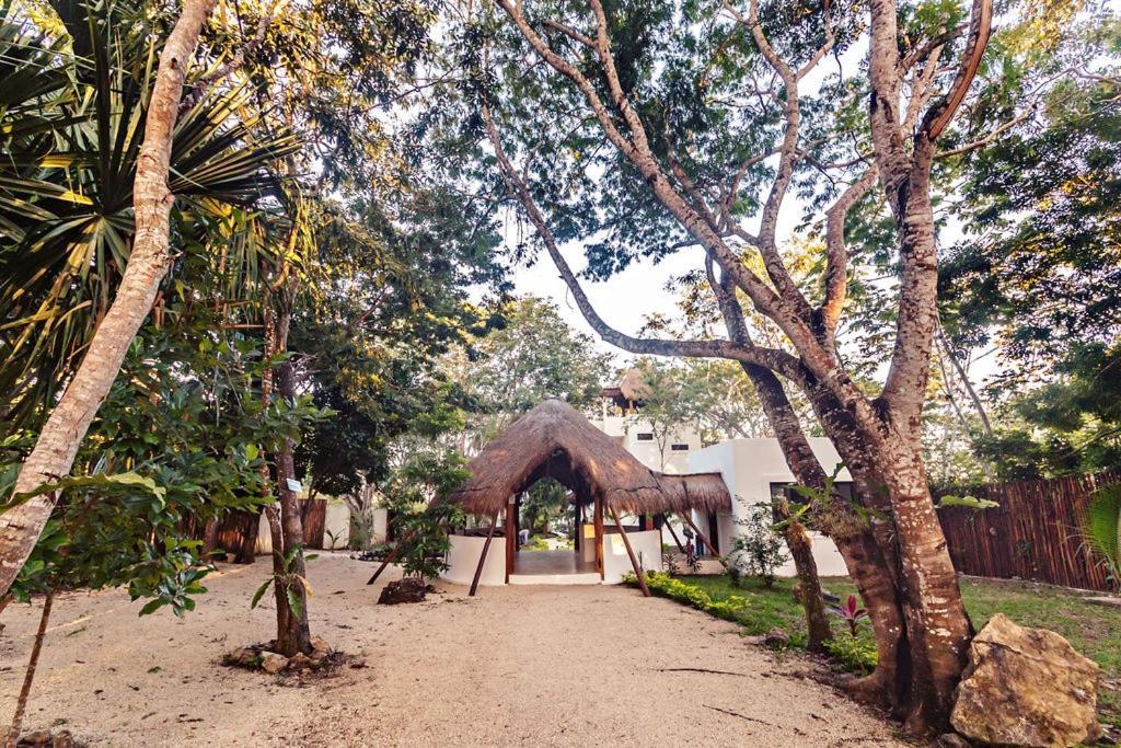 Mi Kasa Tu Kasa Bacalar By Nah Hotels エクステリア 写真